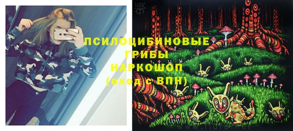 мдпв Лагань