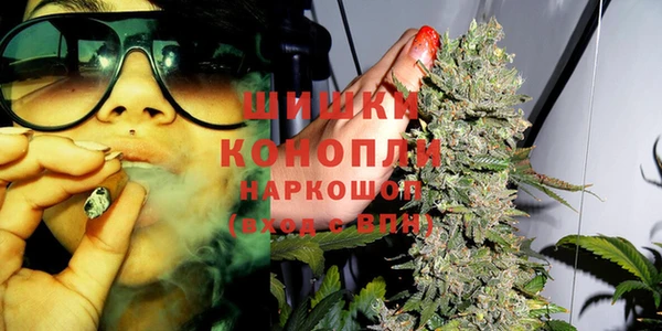 прущие крисы Лабытнанги
