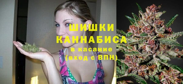 мдпв Лагань