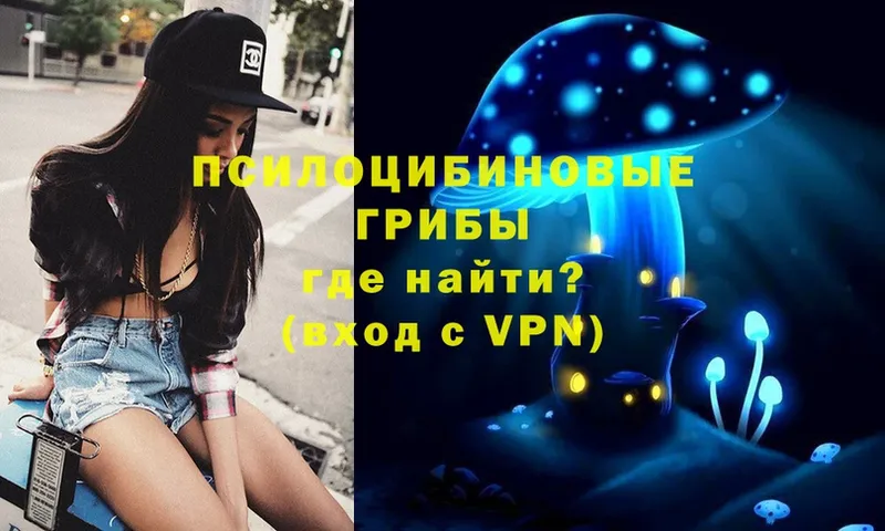 Псилоцибиновые грибы Magic Shrooms  omg маркетплейс  Ачинск 