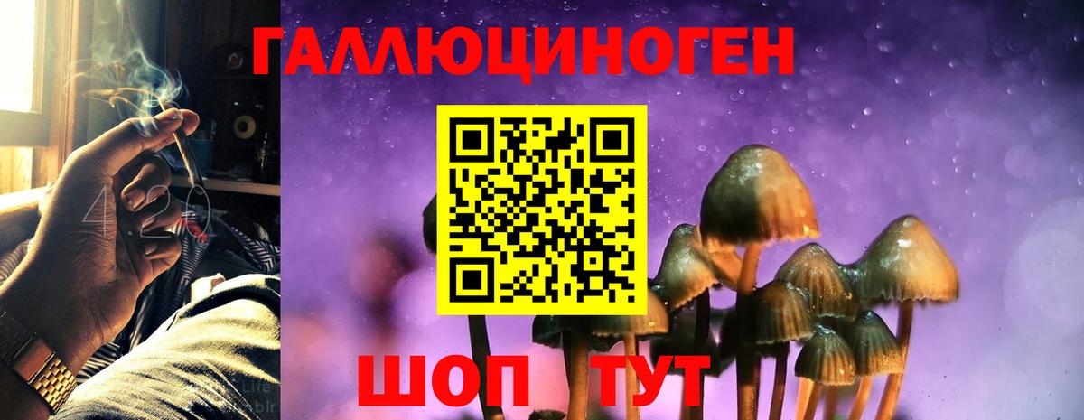 Ачинск  Псилоцибиновые грибы Magic Shrooms  Галлюциногенные грибы мицелий  Вход с VPN 