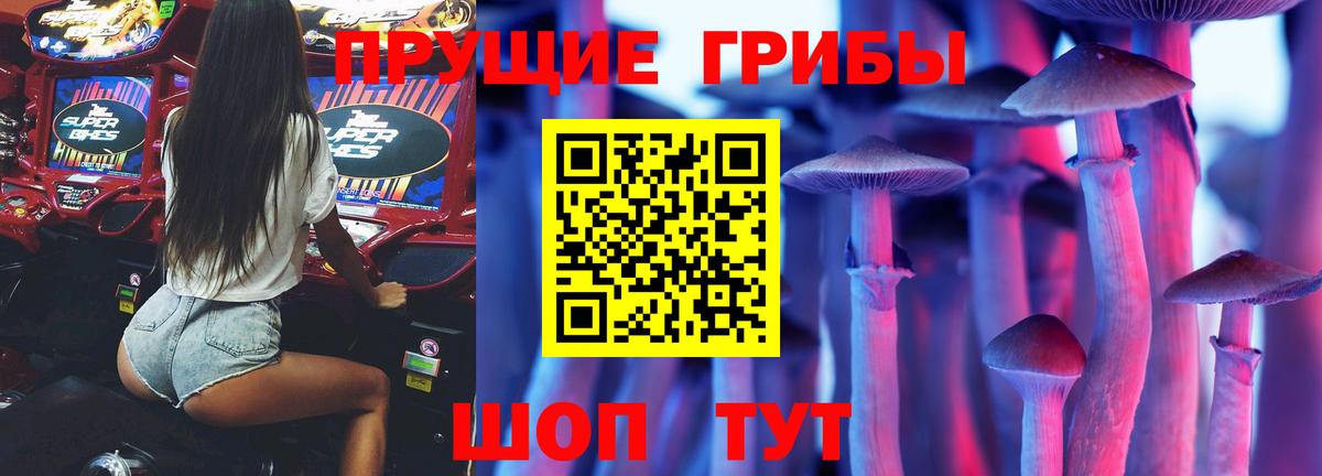 Псилоцибиновые грибы MAGIC MUSHROOMS  как найти закладки  Ачинск 